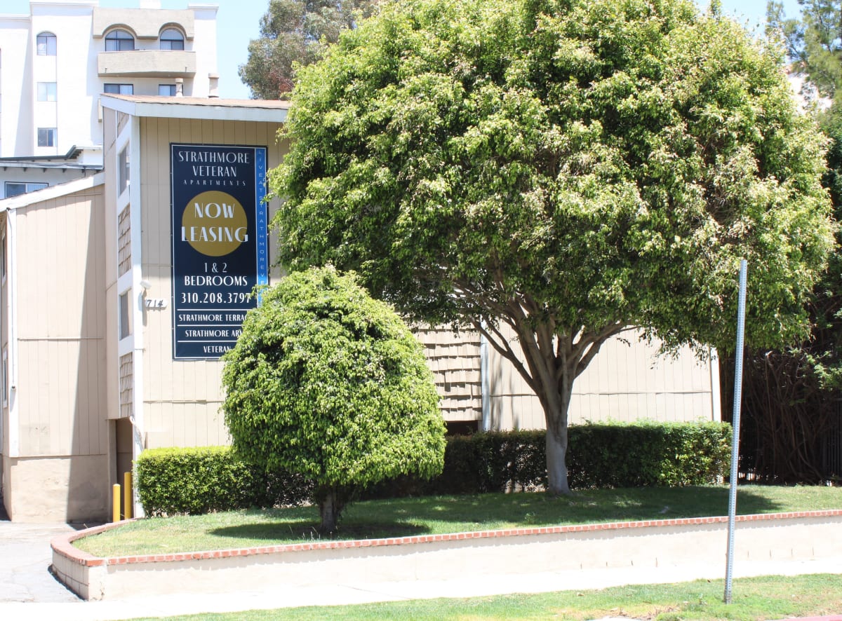 Photos and Video of Strathmore Veteran in Los Angeles, CA